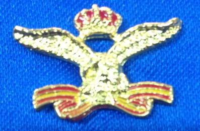 Pin escudo aviación civil
